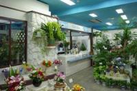 鈴花園 やよい台店