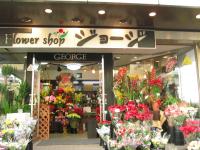 Frowershop GEORGE
