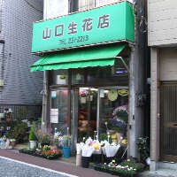 山口生花店