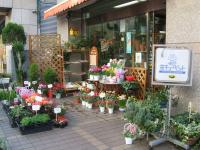 日吉生花店　都筑フローリスト