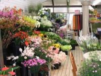 花政生花店