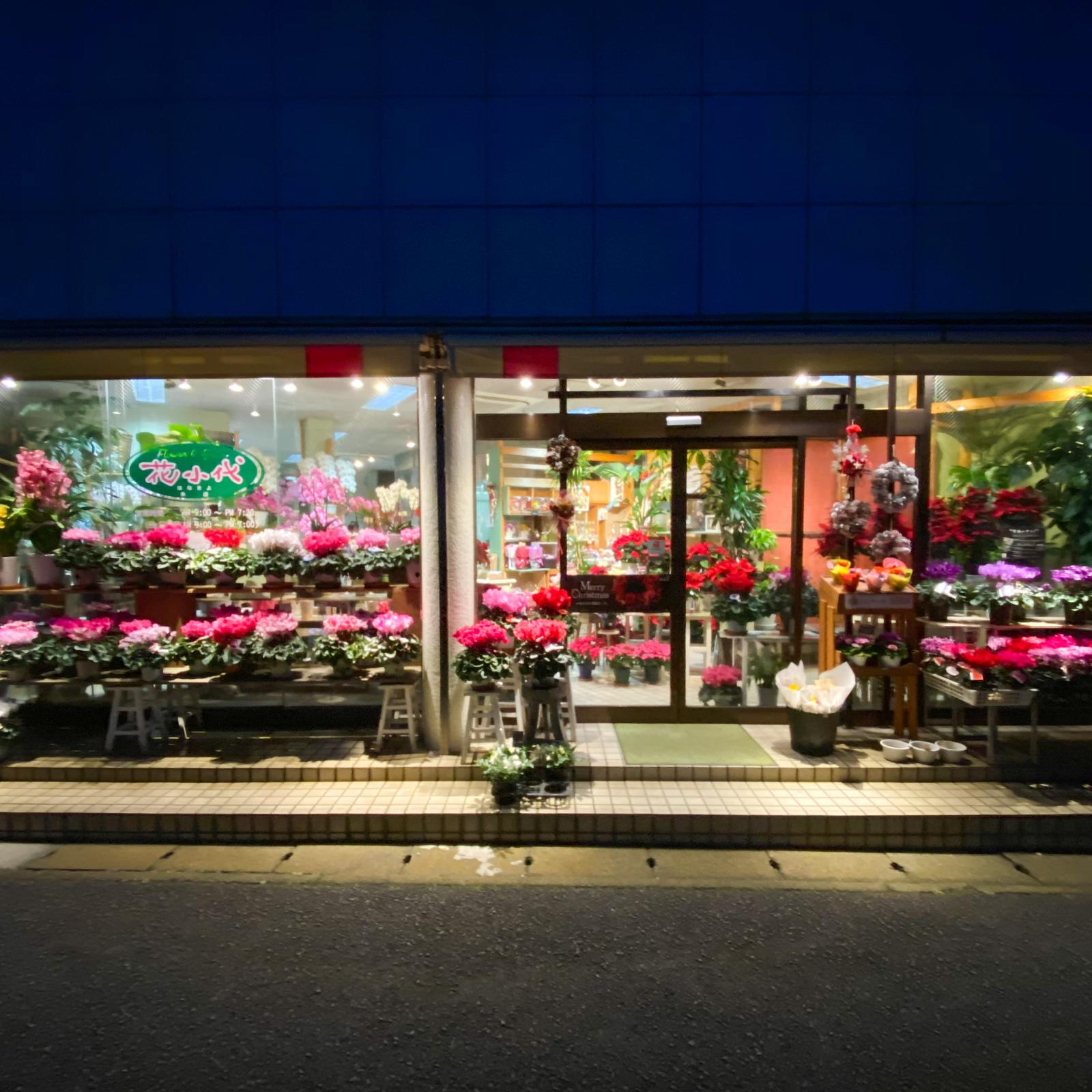 花小代 本店