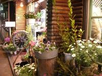 武川生花店