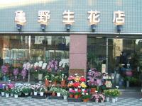 亀野生花店
