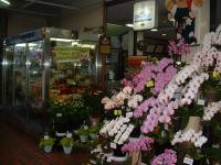 花のコウノ