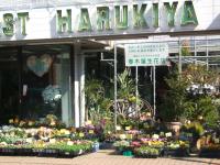 春木屋生花店