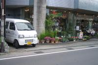 ウスイ植物園花専科