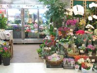 安西生花店