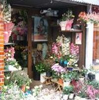 小宮生花店
