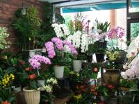 ふじ生花店