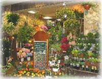 花工房　大磯店