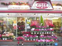 花友生花店