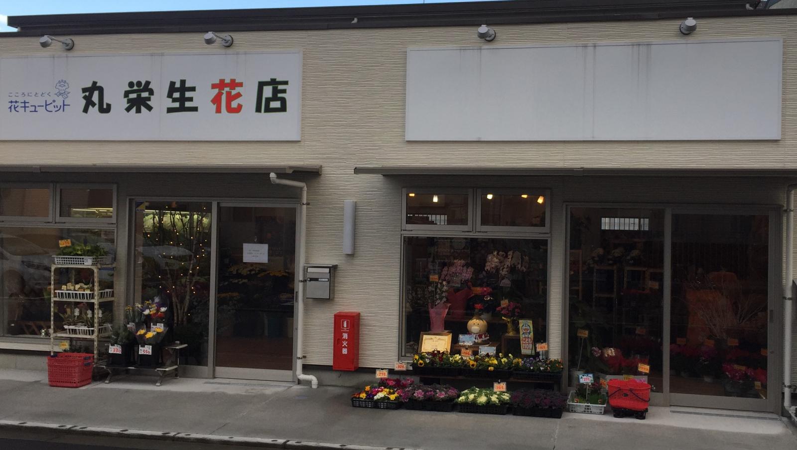 丸栄生花店