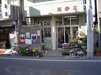 花伊正