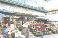 花　松（HANAMATSU）