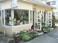 どりいむはうす生花店