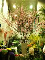 大和生花店 ~yamato florist~